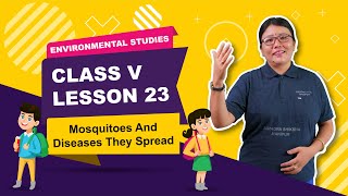 Class V EVS Chapter 23: Mosquitos & Diseases they spread