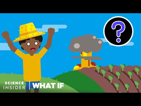 What If You Survived The Apocalypse?