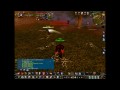 testvideolol.mp4