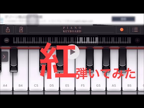 動画