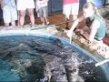 Key West Aquarium