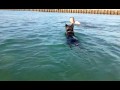 tahora à la plage