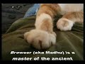 Claw-cupuncture Claw-cupuncture
