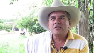 Nos están matando