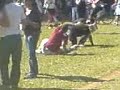 Ibirapuera - Est�tuas
