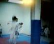 Rompìmiento De Tablas_1
