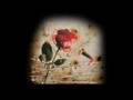 IBRAHIM ERKAL -Gullerede Kustum-