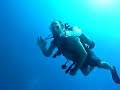 Caribbean - Diving St. Vincent Grenadines Japanese Gardens Caribbean - Diving St. Vincent Grenadines Japanese Gardens
