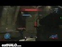 triple headshot