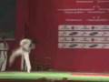 TaeKwonDo