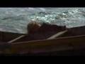  - MovieZen Video