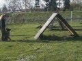 Xarra Slezin Lovan - film