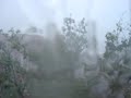 torrential rain