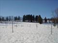 WTB Bundes - Taterstan 5