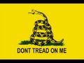 Ron Paul on Brian and the Judge 11/10/08   1/2