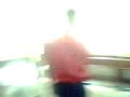 MOV0124A
