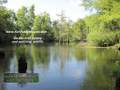 Fishing some slews of the Angelina River