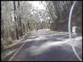 Reefton Spur