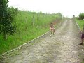 Fabricio Dohnal descendo a rampa com carrinho de rolim�!