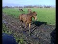 Heaven gek doen! Heaven gek doen!