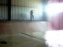 Pull-in Priavate Mini-ramp