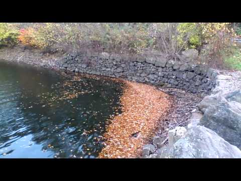 how to use camera on surface rt