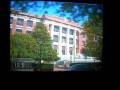 Maury High School Fight ( 7 teachers 1 assistant principal and 1 security officer injured)