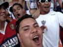GALO � MEU AMOR..�BA �BA �BA !!!