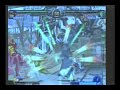 猫動画
