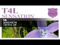 T4l Sensation Video and Lyrics