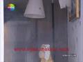 Kurtlar vadisi 2005 ozel film  not teror