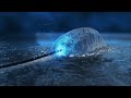Roccat Kone Trailer