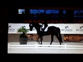 Hot Chocolate vd Kwaplas CDI Le Mans 3des in inter1 freestyle