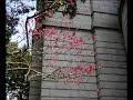 Teleman Recorder Suite - Menuett 1 & 2, Ueno Ume