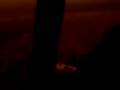 videos de high n horny