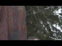 Stange 2 7er - K�ringer 2008