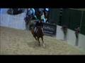 videos de Halo (Pony For Sale)