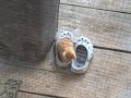Playful Sleepy Head