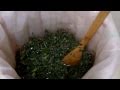 Making Bubble Hash