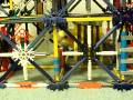 videos de cockatiel goes through a k'nex maze