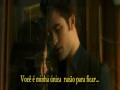 O lobinho mais lindo  do mundo !!!!!!!