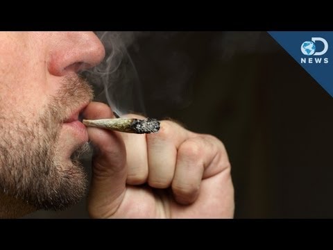 high - Cops can use a breathalyzer to test if you're drunk... but what if you're high? With marijuana legal in two US states now, Trace shows us the test law enforc...