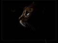 Cats...