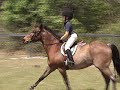Master Yoda - Medium Pony For Sale