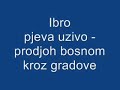 Ibro - Prodjoh Bosnom