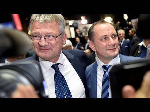 AfD: Neue Doppelspitze mit Bernd Meuthen und Tino Chr ...