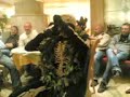 zucchi laurea zucchi laurea