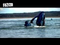 Jet Ski (Motos de Agua) Fuzion tv