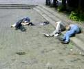 Denmark-Sweden on hell of a night