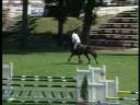 Picasso Des Bles - CIR Compiegne 2008